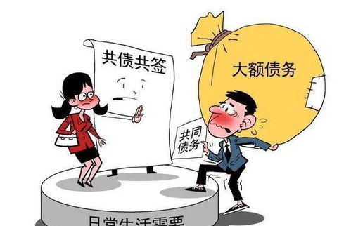 北京離婚律師 怎么才算是 家庭日常生活需要 所負的債務